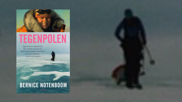 Bernice Notenboom