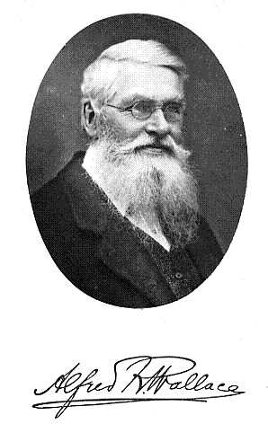Override of the title Noorderlicht - Alfred Russel Wallace