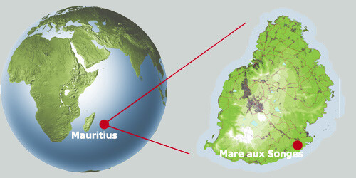 Override of the title Noorderlicht - locatie dodomoeras Mauritius