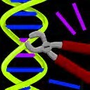 DNA manipulatie