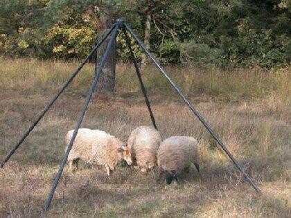 Override of the title lofar antenne