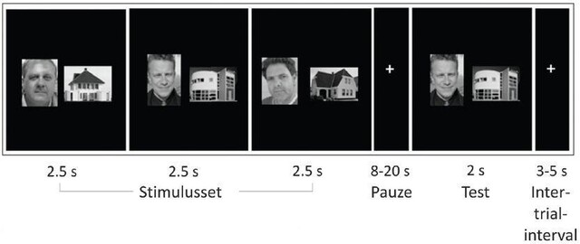 Override of the title geheugentest