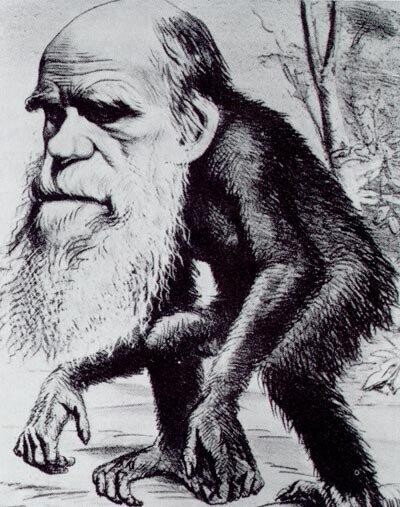 Override of the title darwin karikatuur