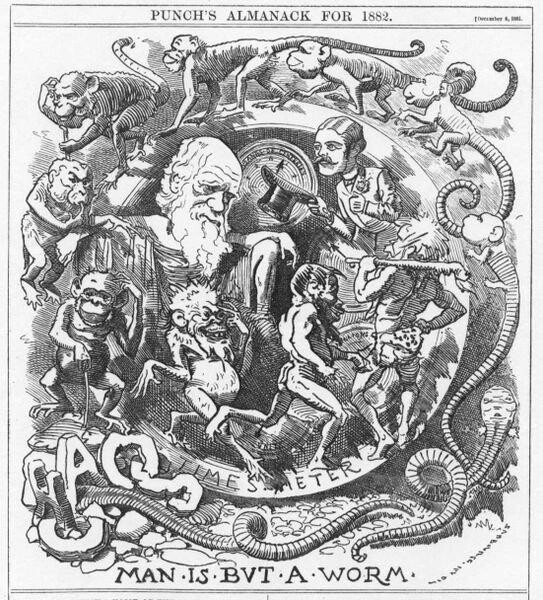 Override of the title Darwin tekening punch