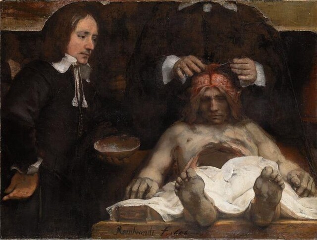 anatomische les