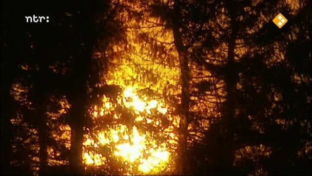 Knoop in je zakdoek: Sport