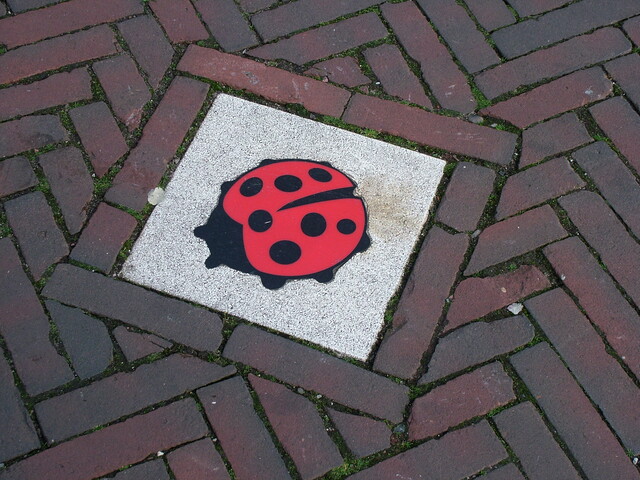 Override of the title Geweld op school