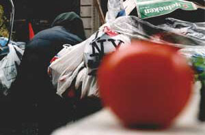 Override of the title De tomaat en de Big Apple
