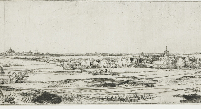 De Hollandse wildernis